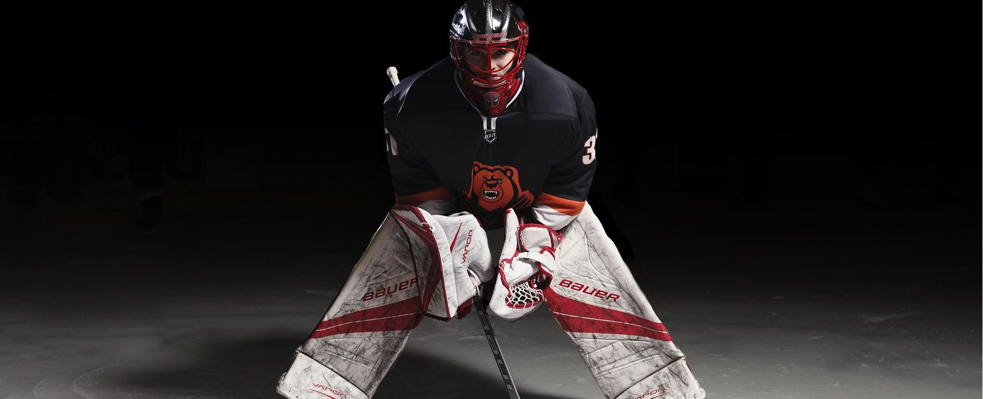 Hockey Goalie Equipment Store -Hockey Goalie Equipment Store sports 5500917 1920